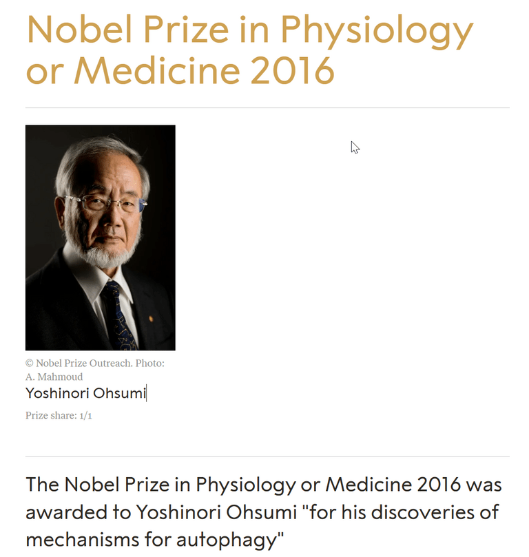 2026 02 11 18 46 35 Метаболическое возрождение